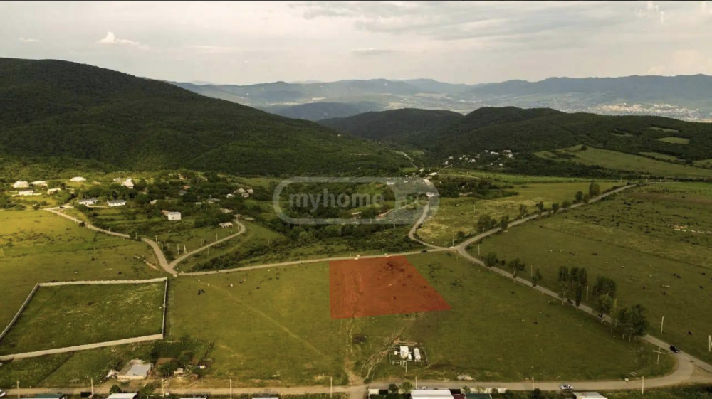 იყიდება მიწის ნაკვეთები